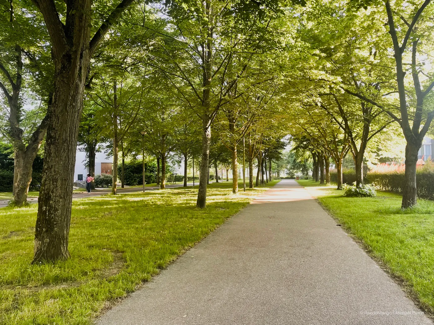 Départ sous la Grande Allée des Bois de Noisiel.