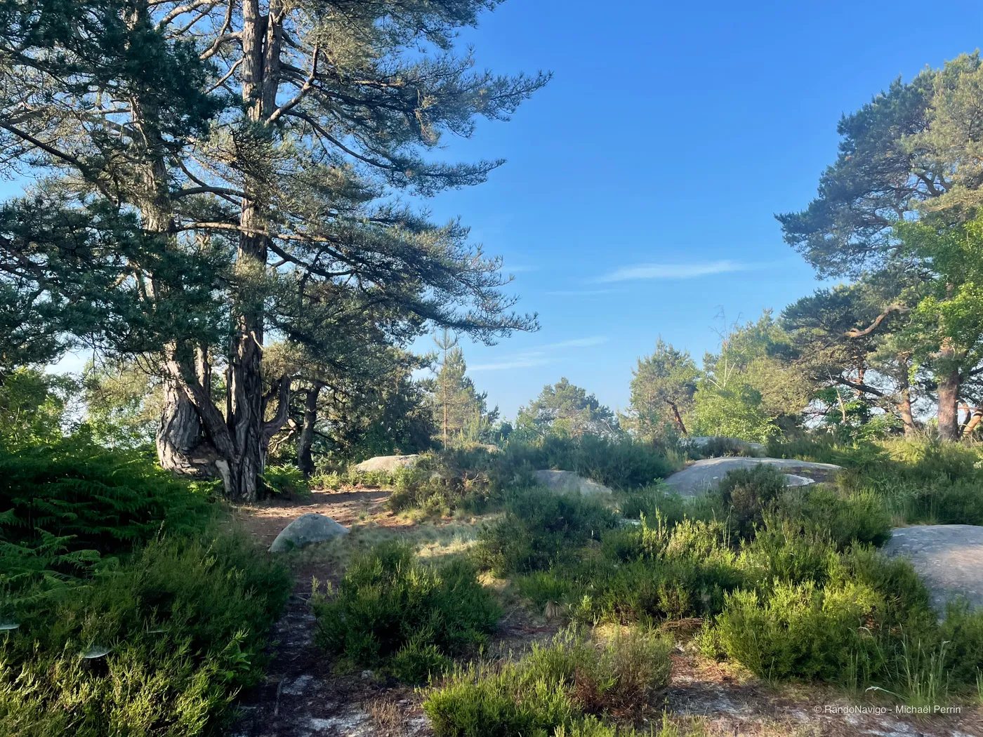 Sur le plateau du massif des Rochers-Gréau