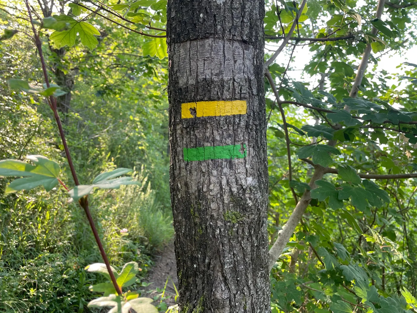 Marquage jaune du PR